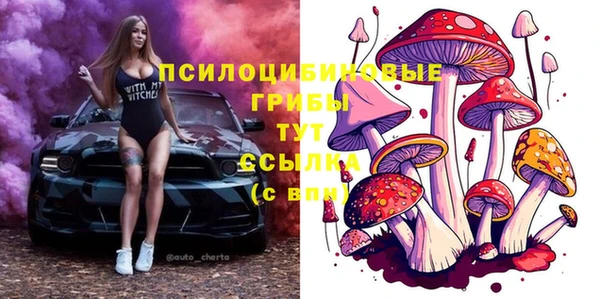 мяу мяу мука Алексин