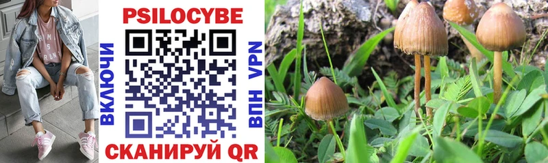 Псилоцибиновые грибы ЛСД  Купить закладки  Елизово 